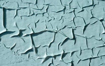 MÀNG SƠN NHĂN DÚM VÀ CÁCH XỬ LÝ